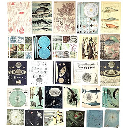 Esweny 200 Pieces Vintage Ephemera Scrapbooking Supplies Pack for Journaling, Decoupage Paper Scrapbook Stickers Kit for Junk Journal Planners Collage Craft Notebooks Album (Space and Sea) - style: Space and Sea