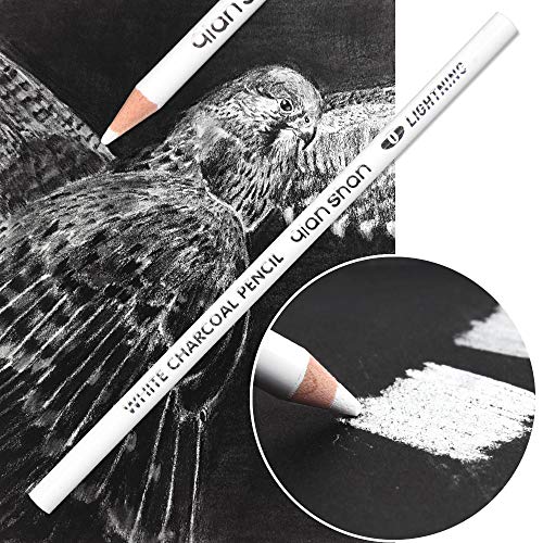 2 Pcs White Sketch Charcoal Pencils -Professional Hight Quality Sketch Highlight White Charcoal Wooden Pencils for Artist Drawing, Sketching, Blending - color: 2 white charcoal