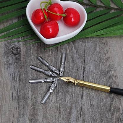 Tebatu Dip Pen Set, Wooden Handler Artist Signature Pen Set Calligraphy Dip Pens with 5 Nibs