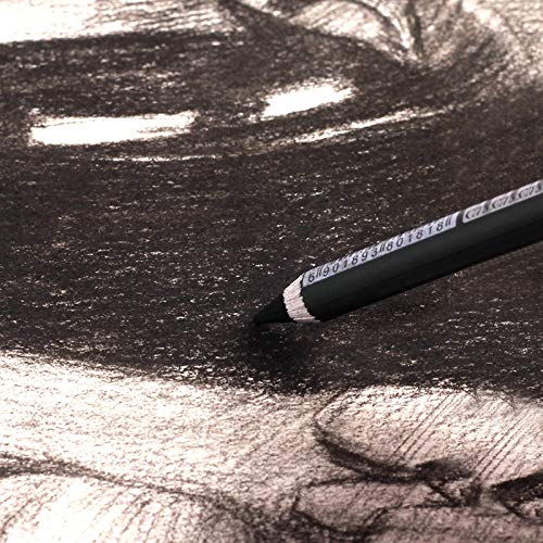 Charcoal Pencil Set - 12pcs/pk - Black Free Cutting Paper Handle Charcoal Pencil C7350 (Super Soft) - style: Super Soft
