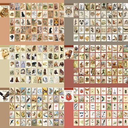 12 Sets 600 Sheets Washi Stickers Book for Journaling, Jungle Animal Sticker, Wild Zoo Sea Animal Aesthetic Scrapbook Dinosaur Sticker Set for Bullet Journal Card Craft Gift Rewards for Kid Notebook - style: Animal Style