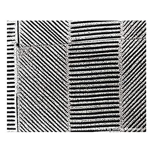 Speedball Fabric Block Printing Ink, 2.5-Ounce, White, for Textiles & T-Shirts, Made in USA - color: White, size: 2.5 fl oz