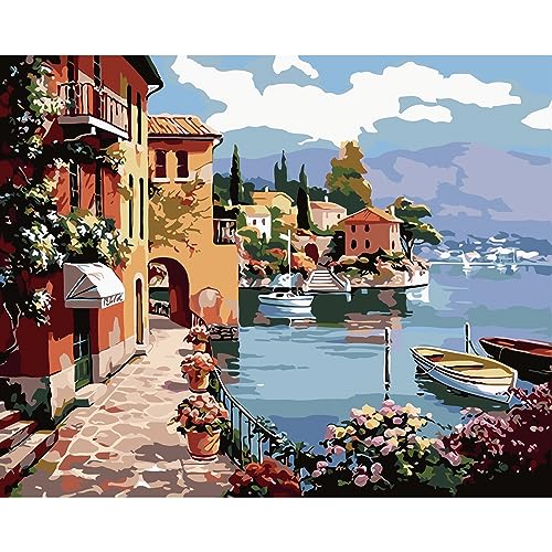 QUITEDEW Paint by Number for Adults,Street Scenery Paint by Numbers, Landscape Adult Paint by Numbers Kits Suitable for Home Wall Decoration 16x20 Inch. - color: A8-street