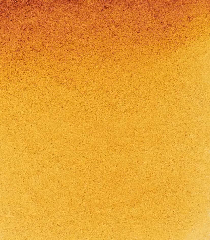Schmincke HORADAM AQUARELL quinacridone gold tone 15 ml, 14217006 - color: 217 quinacridone gold hue, size: 0.5 Fl Oz (Pack of 1)